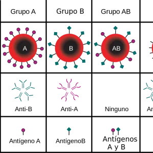 Tipiaje y Grupo Sanguíneo